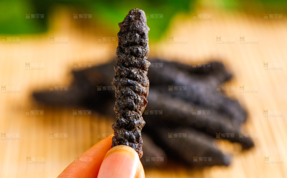 手里拿着干海参