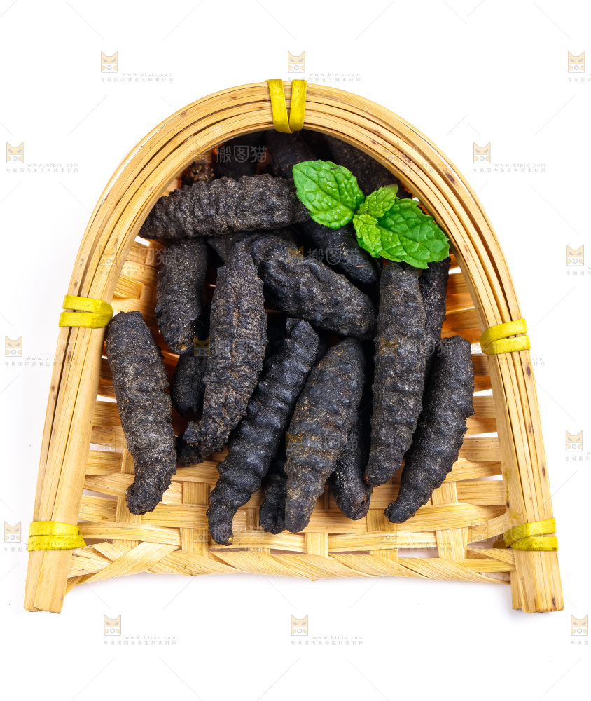 篮子里装着野生海参