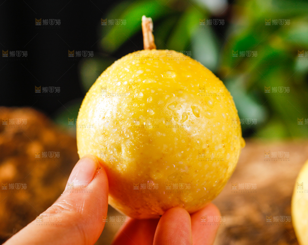 手里拿着黄金果