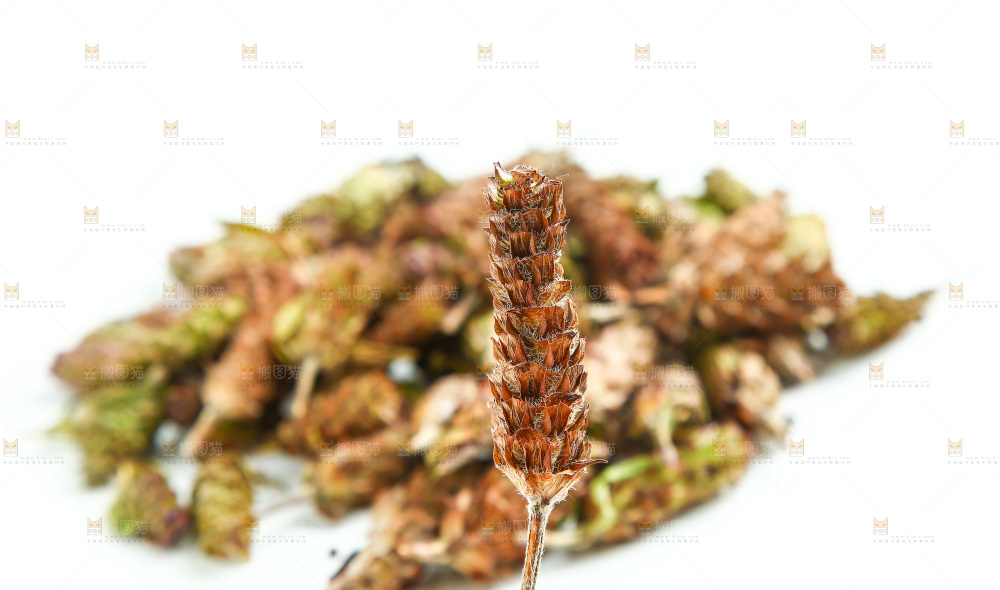 白底上放着夏枯草