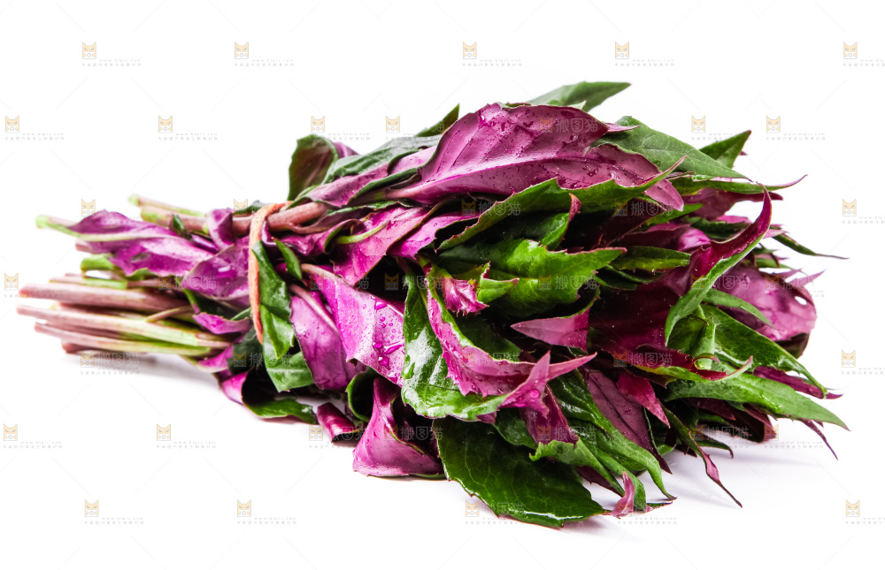 白底上摆放着血皮菜