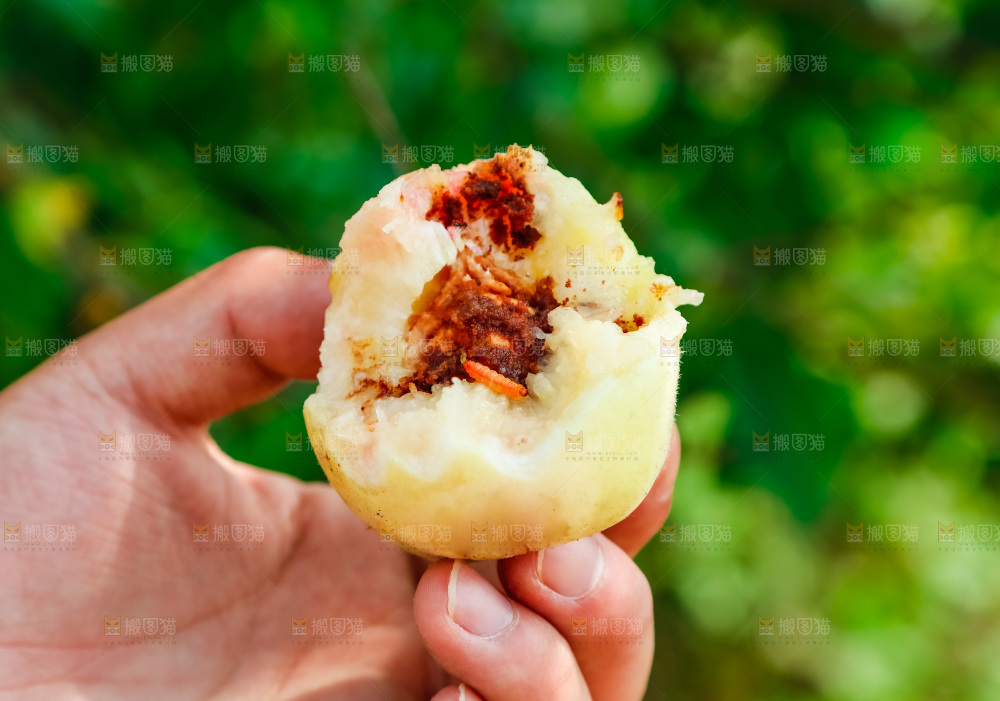 手里拿着烂桃
