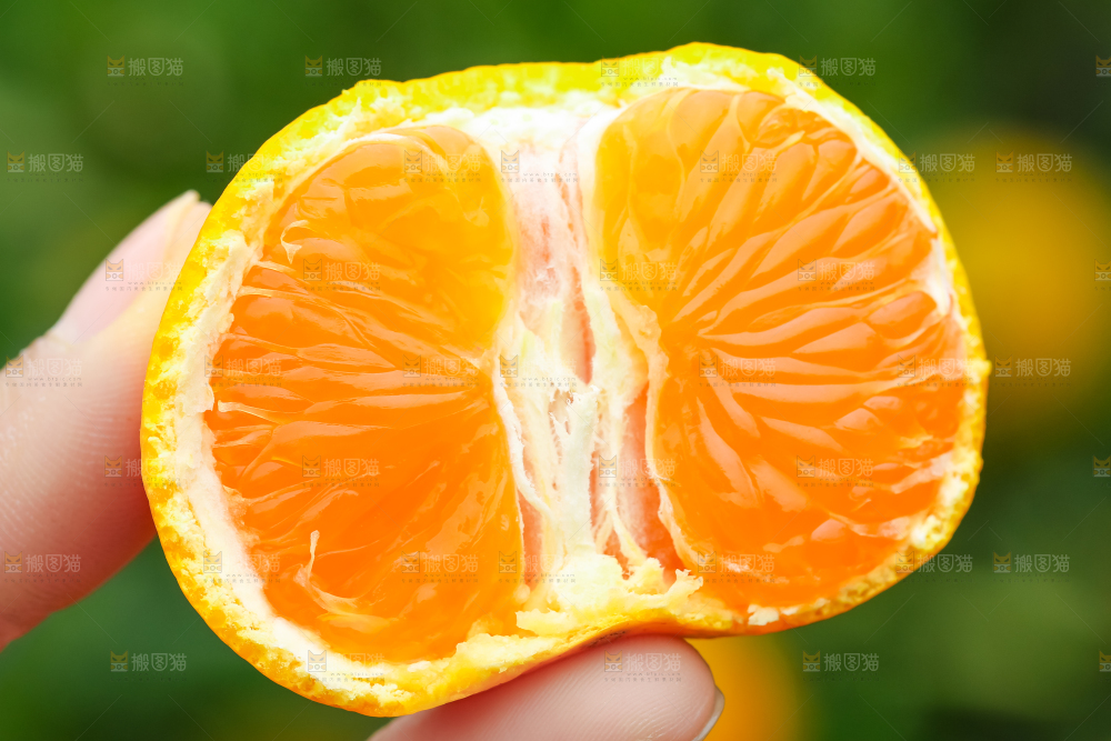 手里拿着新鲜橘子