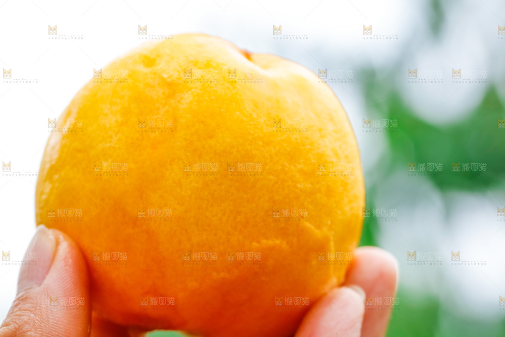 手里拿着桃子