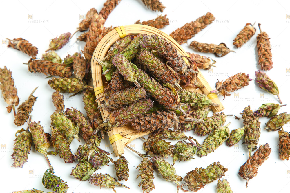 白底上放着夏枯草