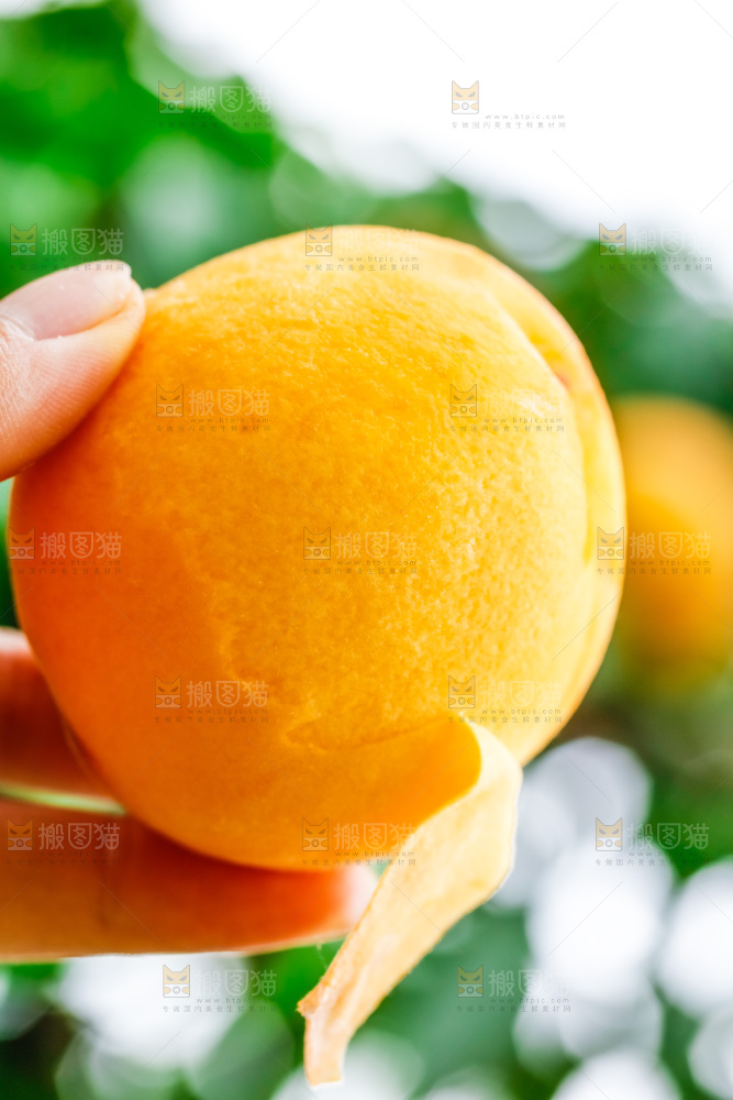 手里拿着桃子