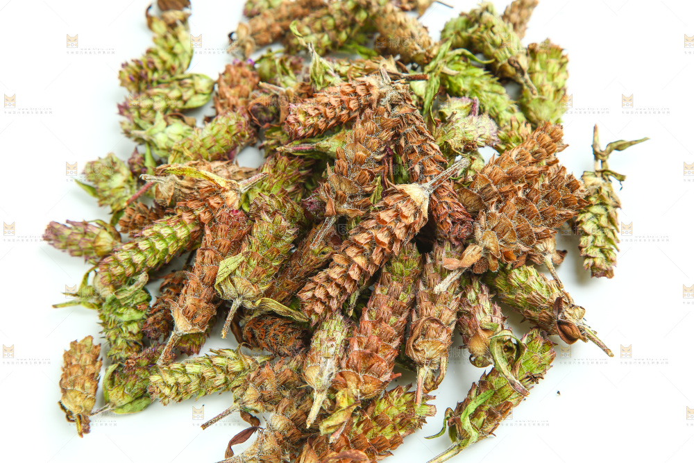 白底上放着夏枯草