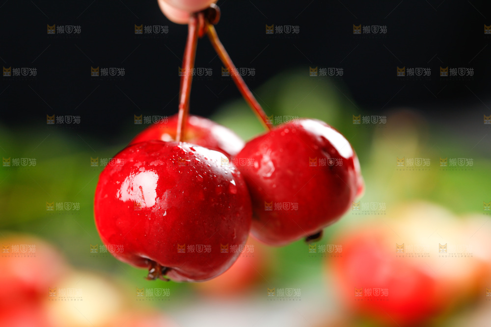 手拿新鲜海棠果