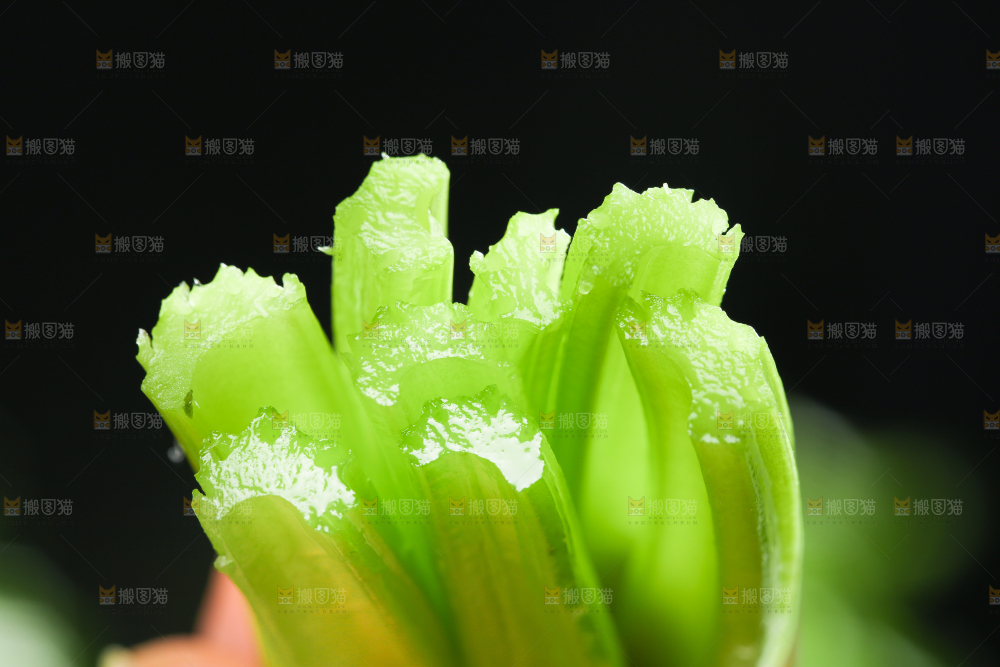 深底上的一把香芹