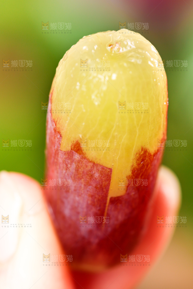 手里拿着剥皮的美人指葡萄