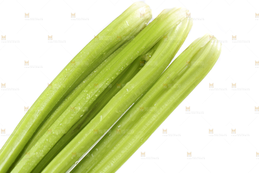 白底上放着新鲜芹菜