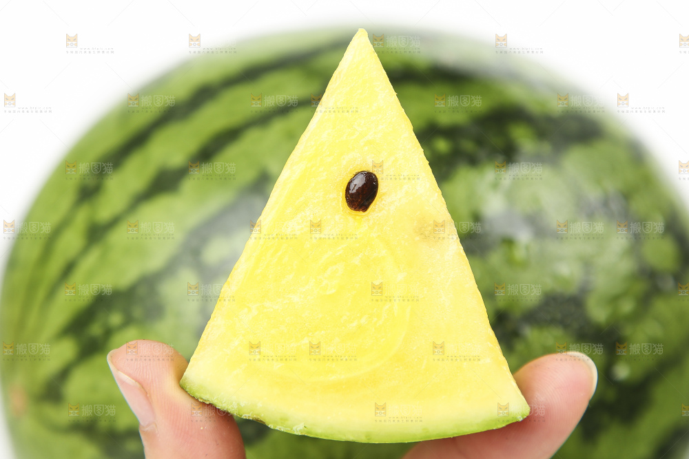 手拿切开的黄心西瓜