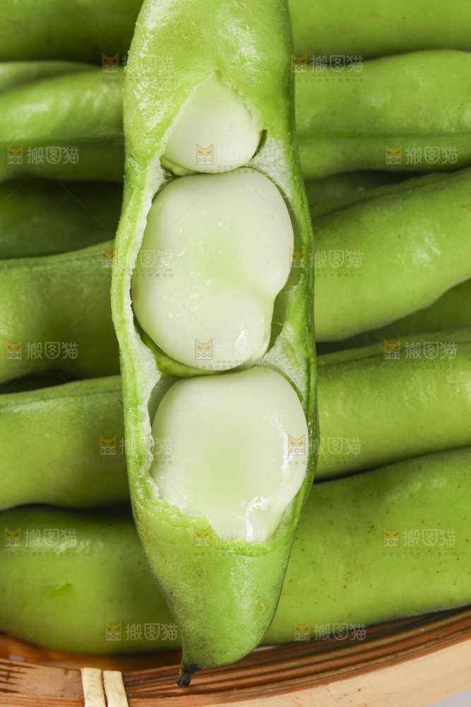 白底上放着新鲜蚕豆