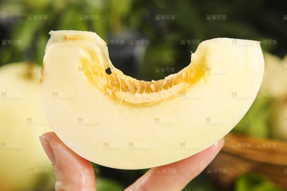 手里拿着切块的陕西阎良甜瓜