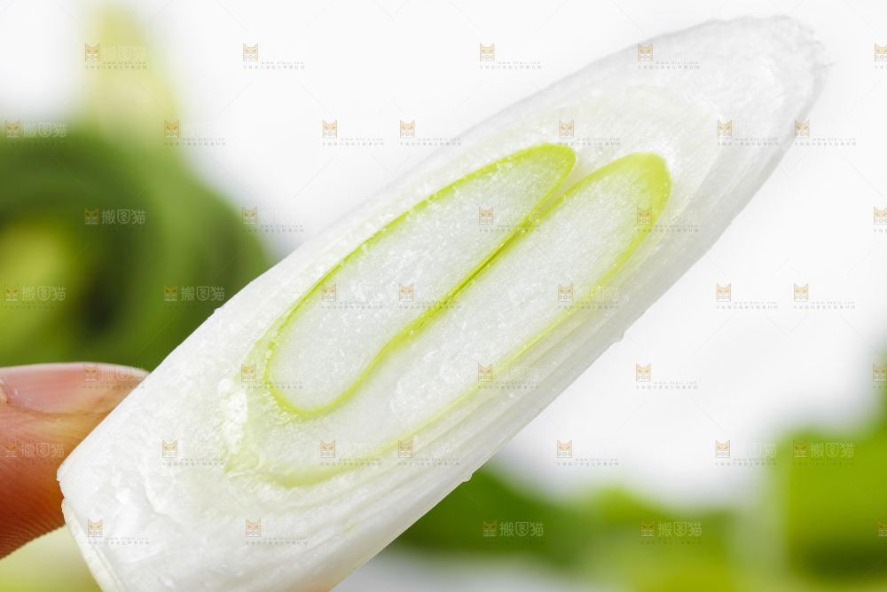 手里拿着切开的葱