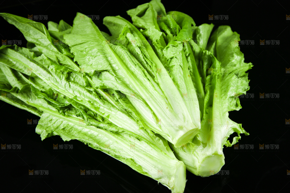黑底上摆放着油麦菜