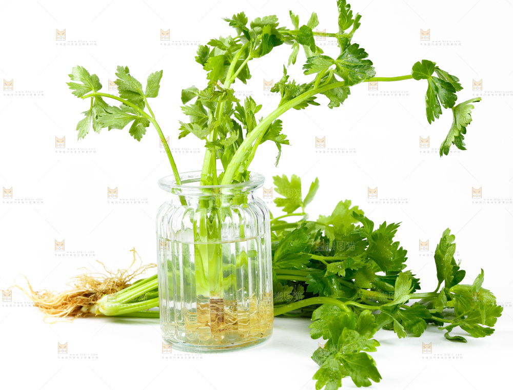 白底上放着芹菜