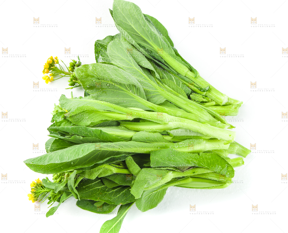 白底上的菜薹