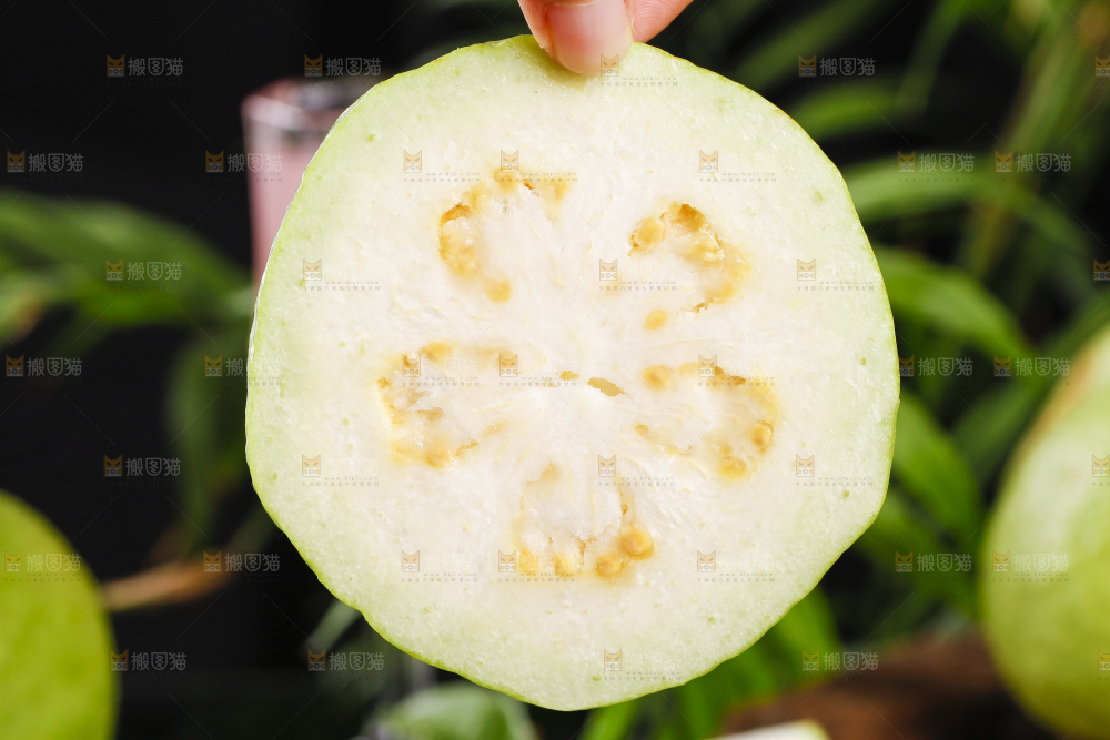 手里拿着广西白心芭乐