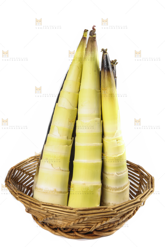 白底上放着一筐新鲜春笋
