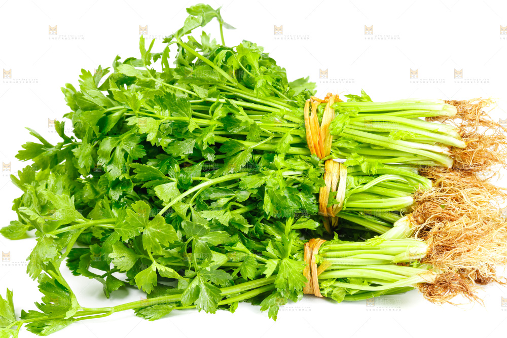 白底上放着芹菜