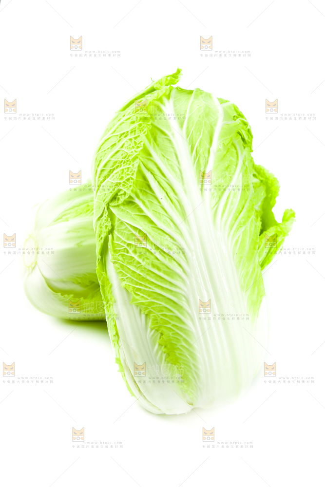 白底上的有机大白菜