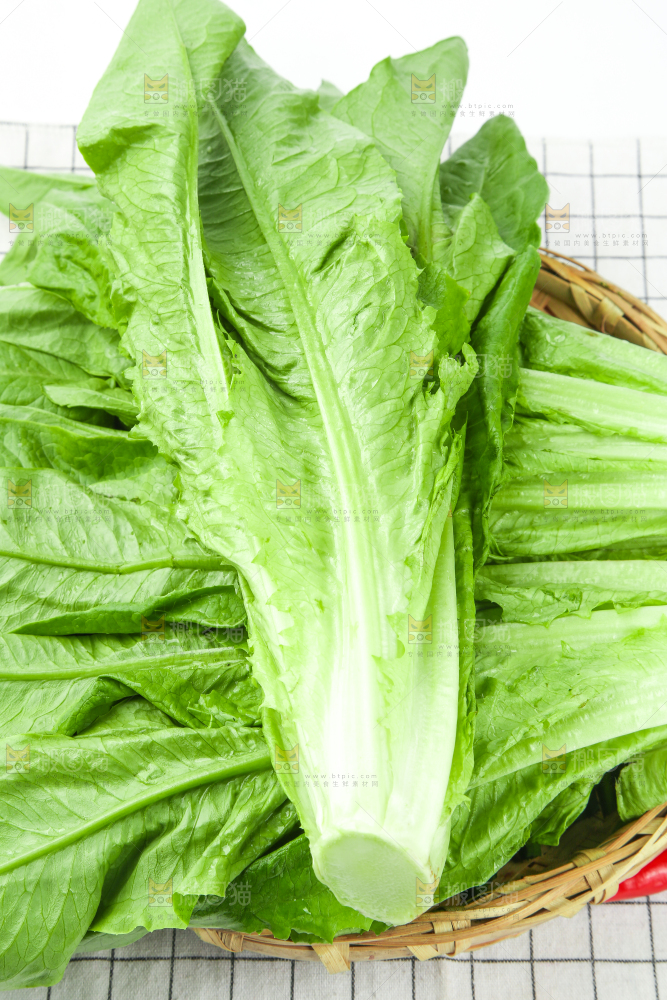 格子底上放着油麦菜