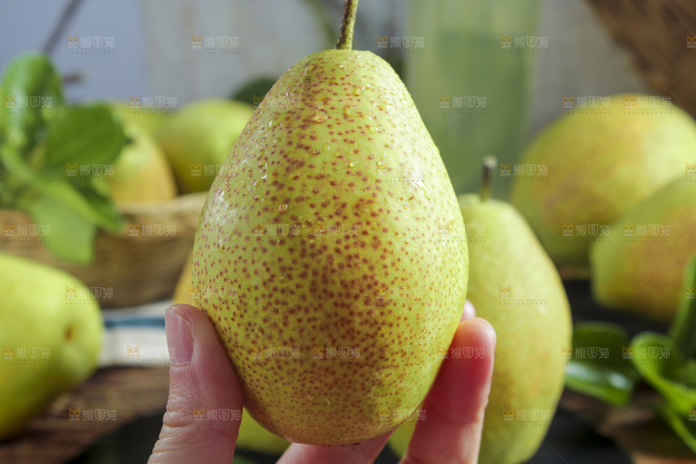 手拿新鲜小香梨