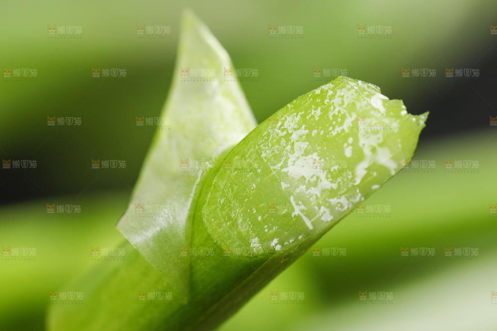 黑底上放着新鲜蒜苔