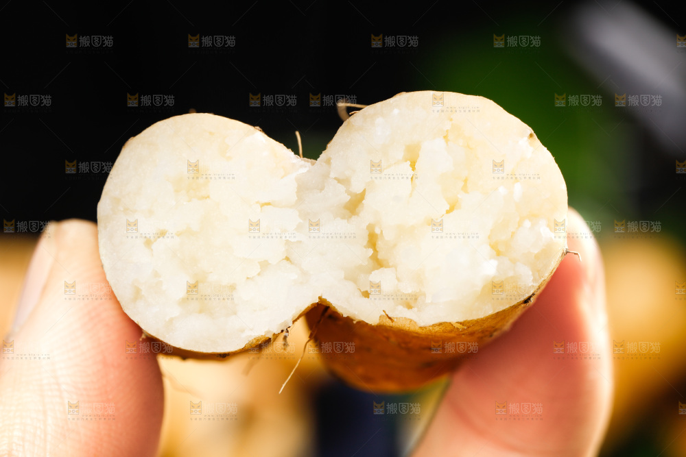 深底上摆放着铁棍山药
