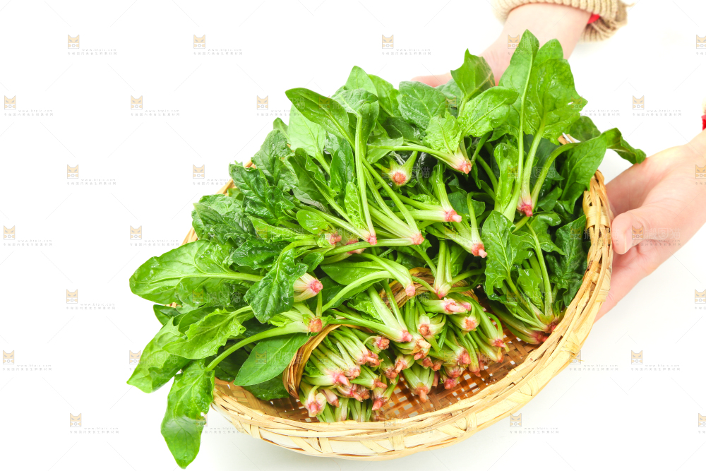 手里拿着一篮菠菜