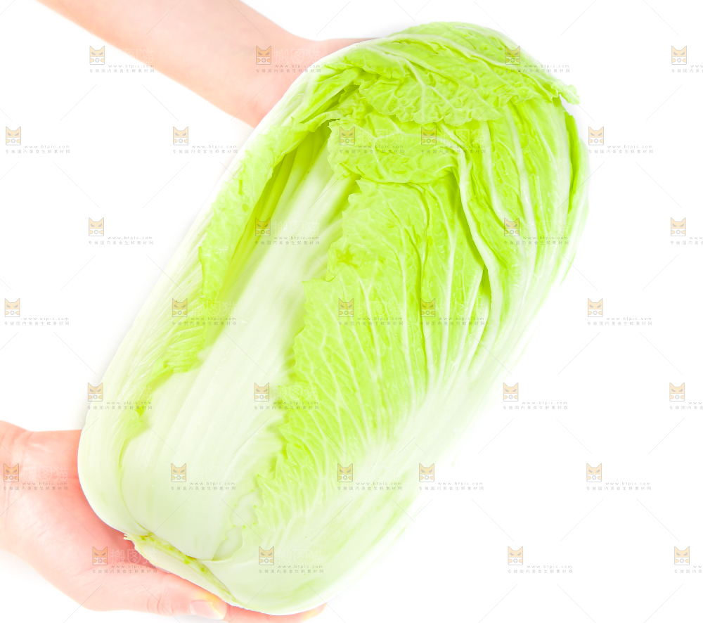 手里拿着山东大白菜
