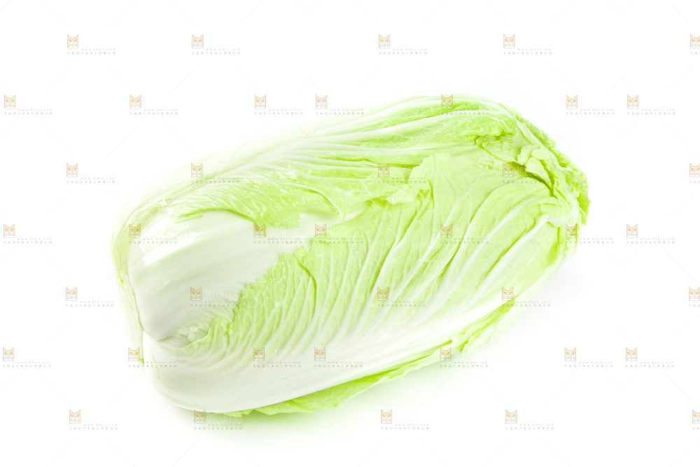 白底上的新鲜大白菜