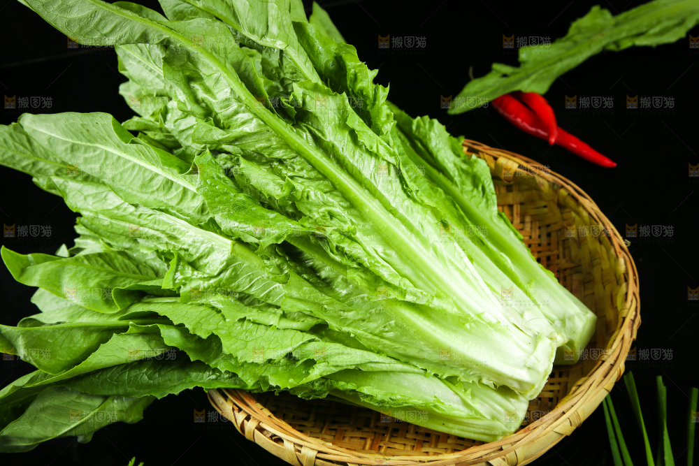 篮子里装着油麦菜