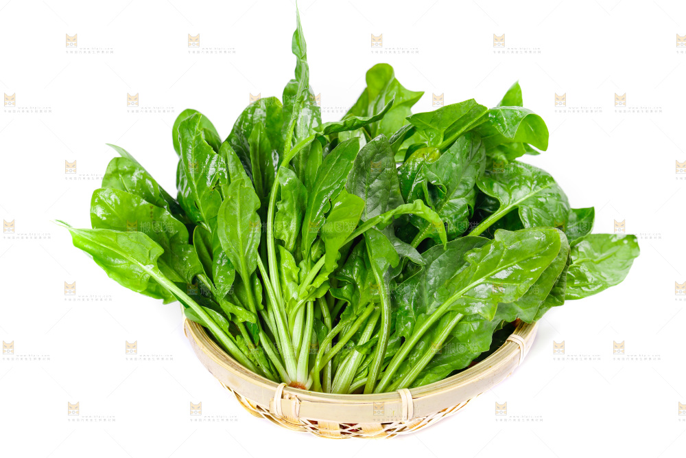 篮子里放着农家菠菜