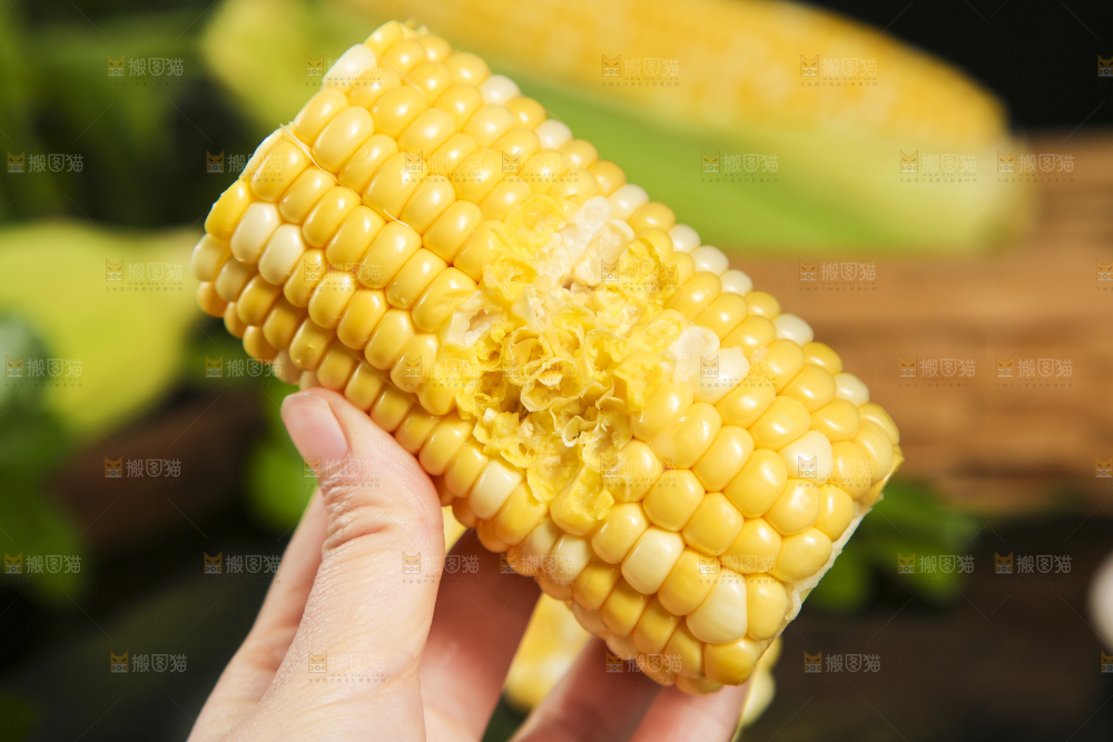 手里拿着咬过的甜玉米