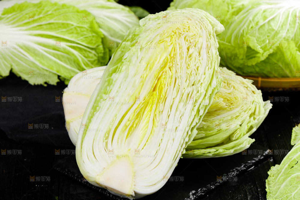 大白菜