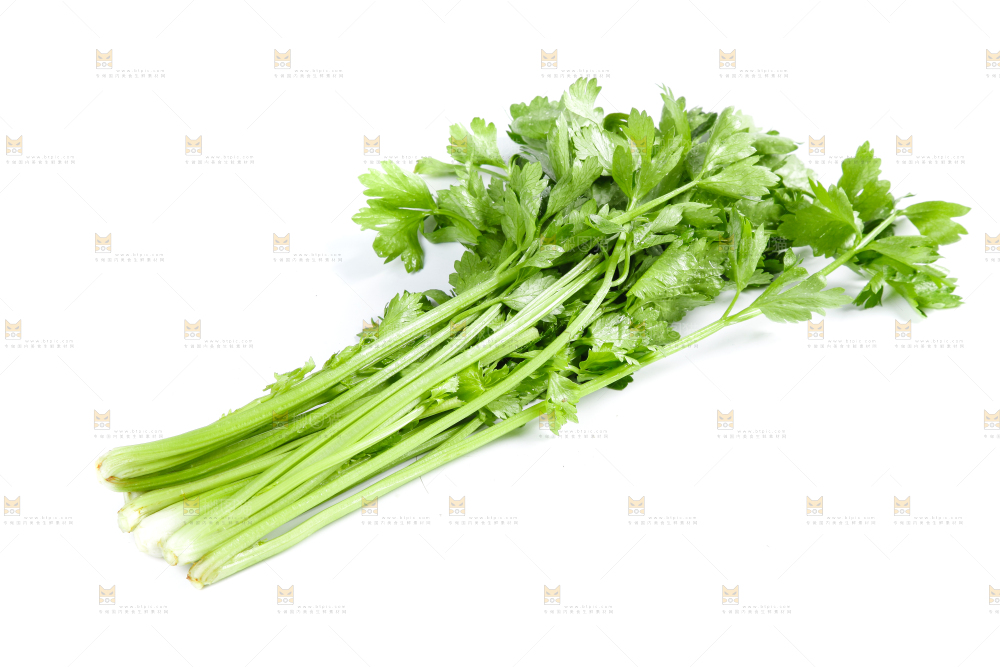 白底上的芹菜