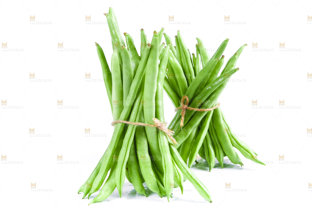 新鲜陕西四季豆放在白底上