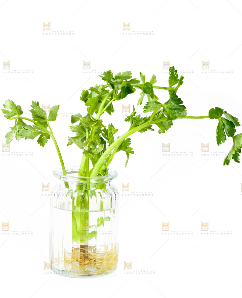 白底上放着芹菜