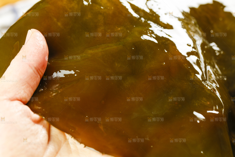 手里拿着海带