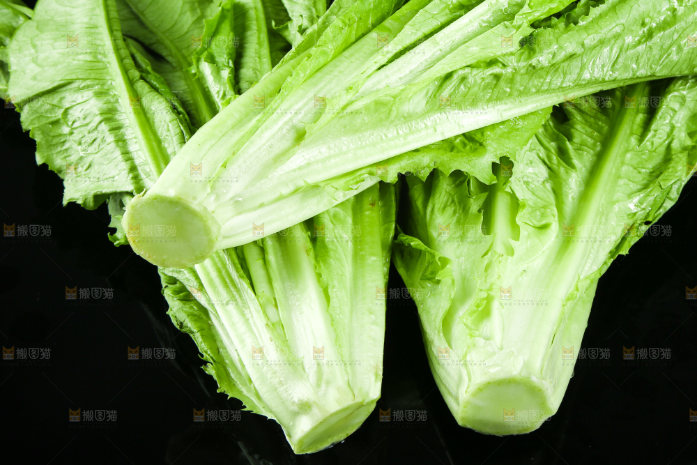 黑底上摆放着油麦菜