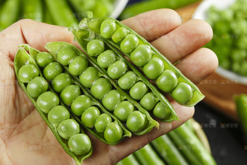 手里拿着青豌豆