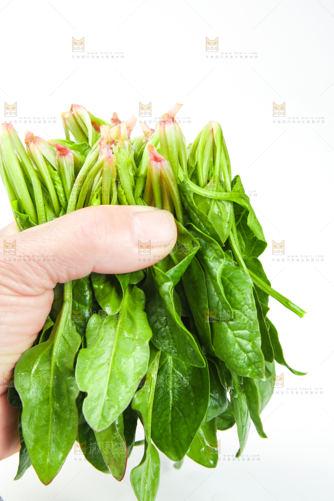 手里拿着一把菠菜