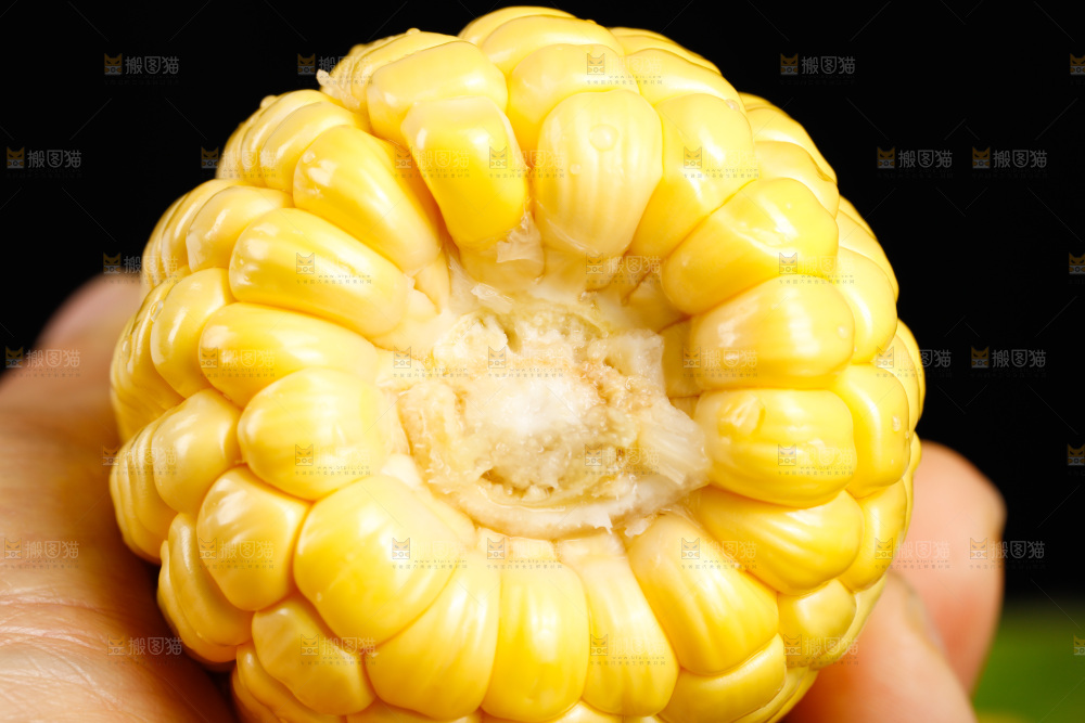 手里拿着甜玉米