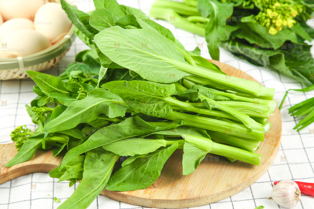 格子底上的广东菜心