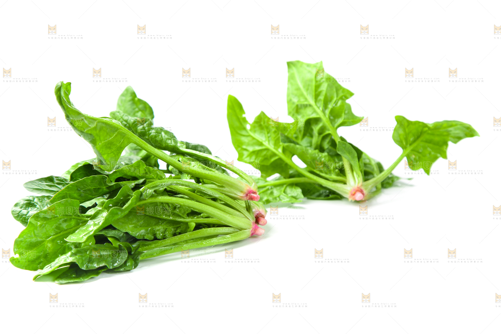 白底上放着新鲜菠菜
