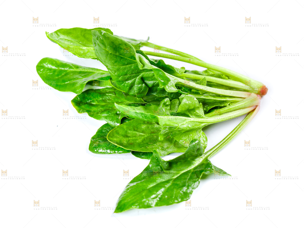 白底上放着新鲜菠菜