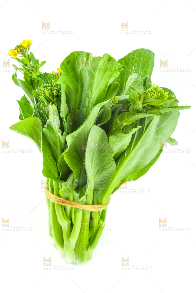 白底上的一把新鲜菜心
