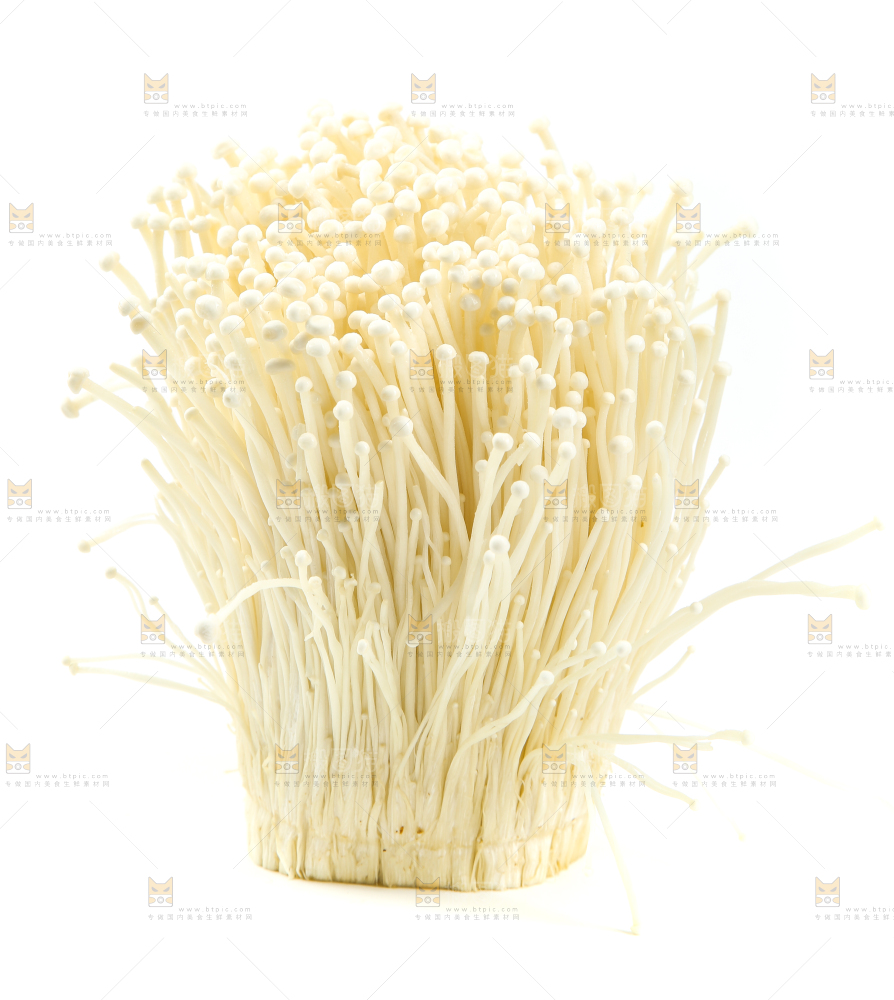 白底上的金针菇